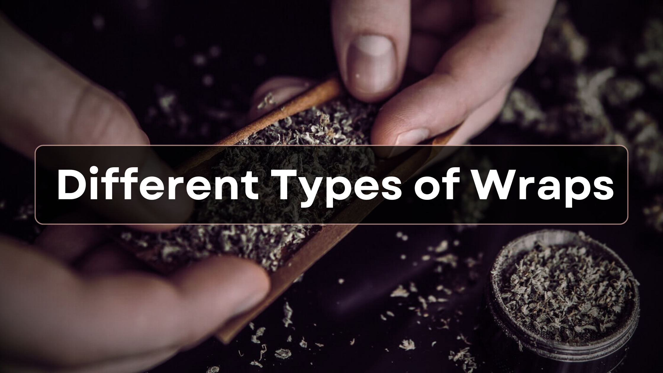 Different Types of Wraps: Find Your Perfect Match