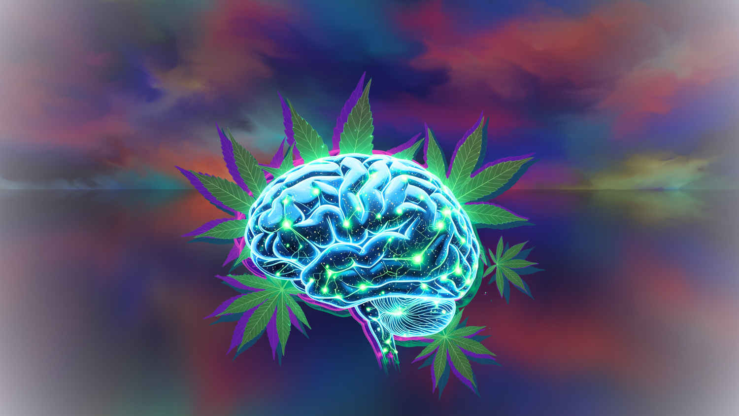 Is Marijuana a Hallucinogen? Breaking Down the Facts