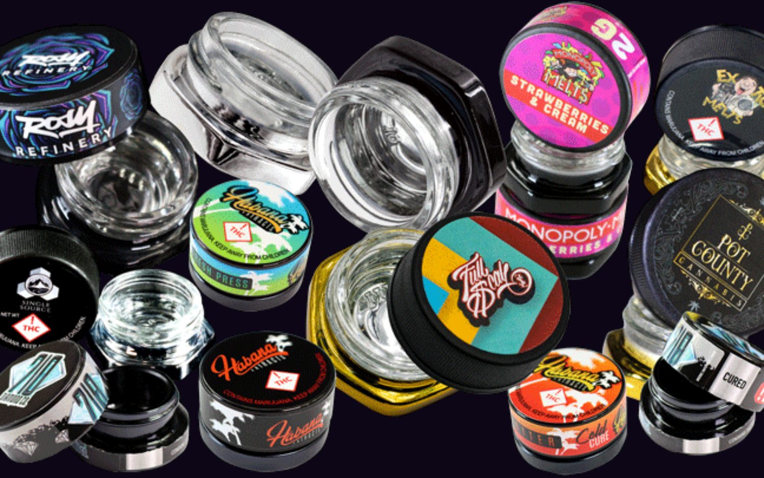 Best Way to Keep Your Herbs Fresh: Smart Storage Tips That Actually Work