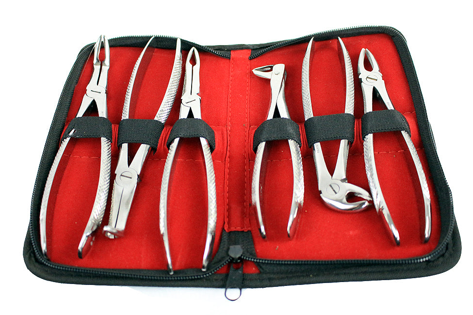Bdeals English Pattern Dental Extracting Forceps 6 PC Set Dental Instruments New