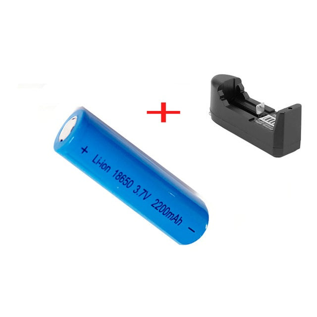 18650 3.7V 2200mAh rechargeable li-ion + wall charger