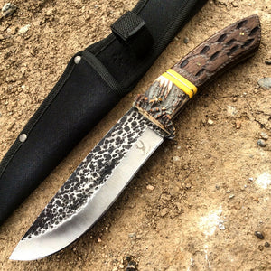 11" Full tang Hunting knife stag handle with sheath