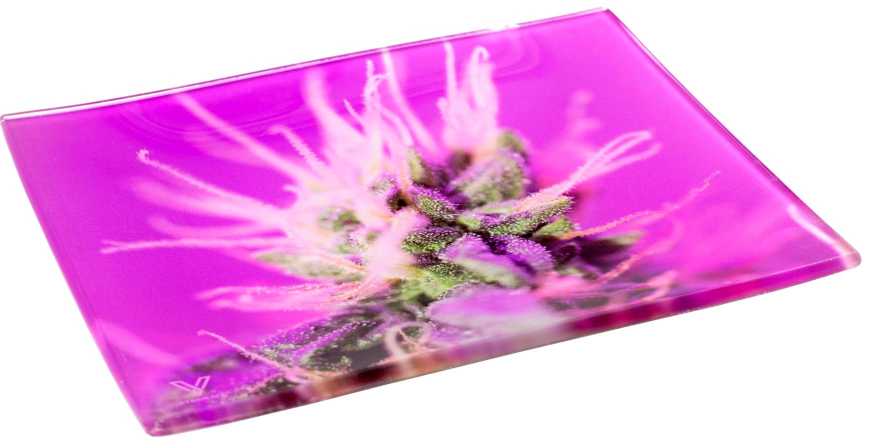 V. Syndicate Pink Lemonade Glass Tray
