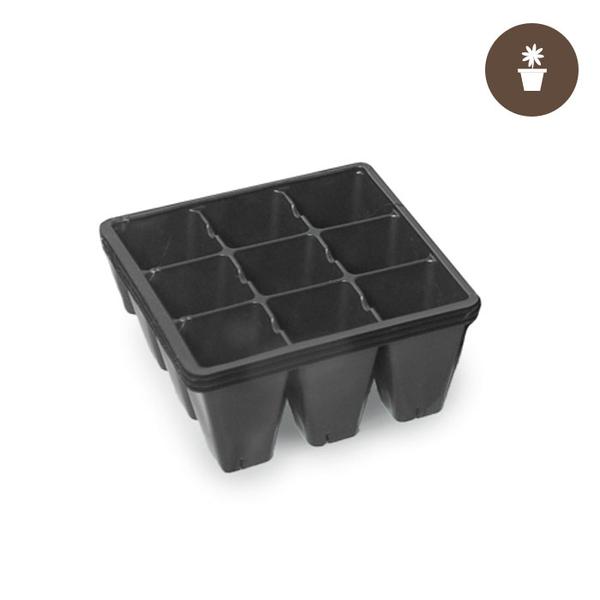 Seed Tray