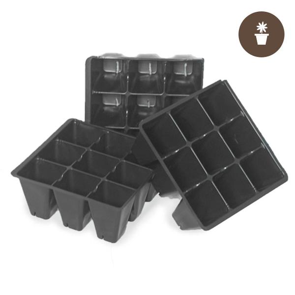 Seed Tray