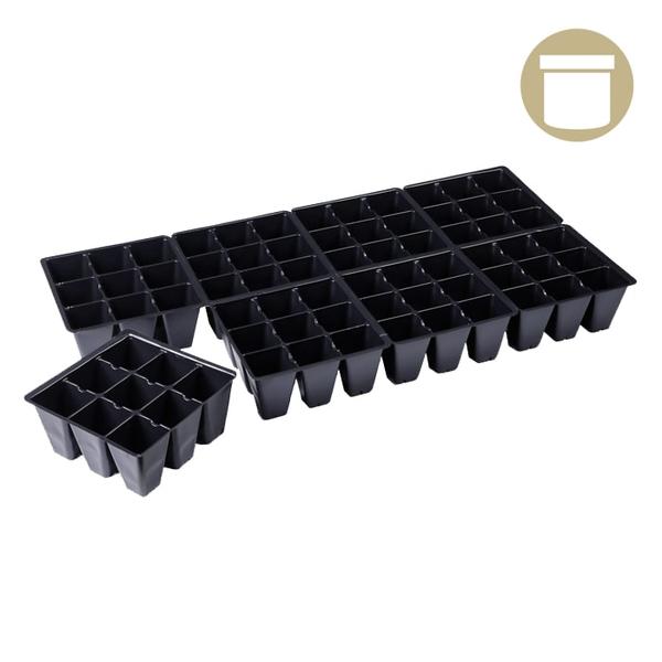 Seed Tray