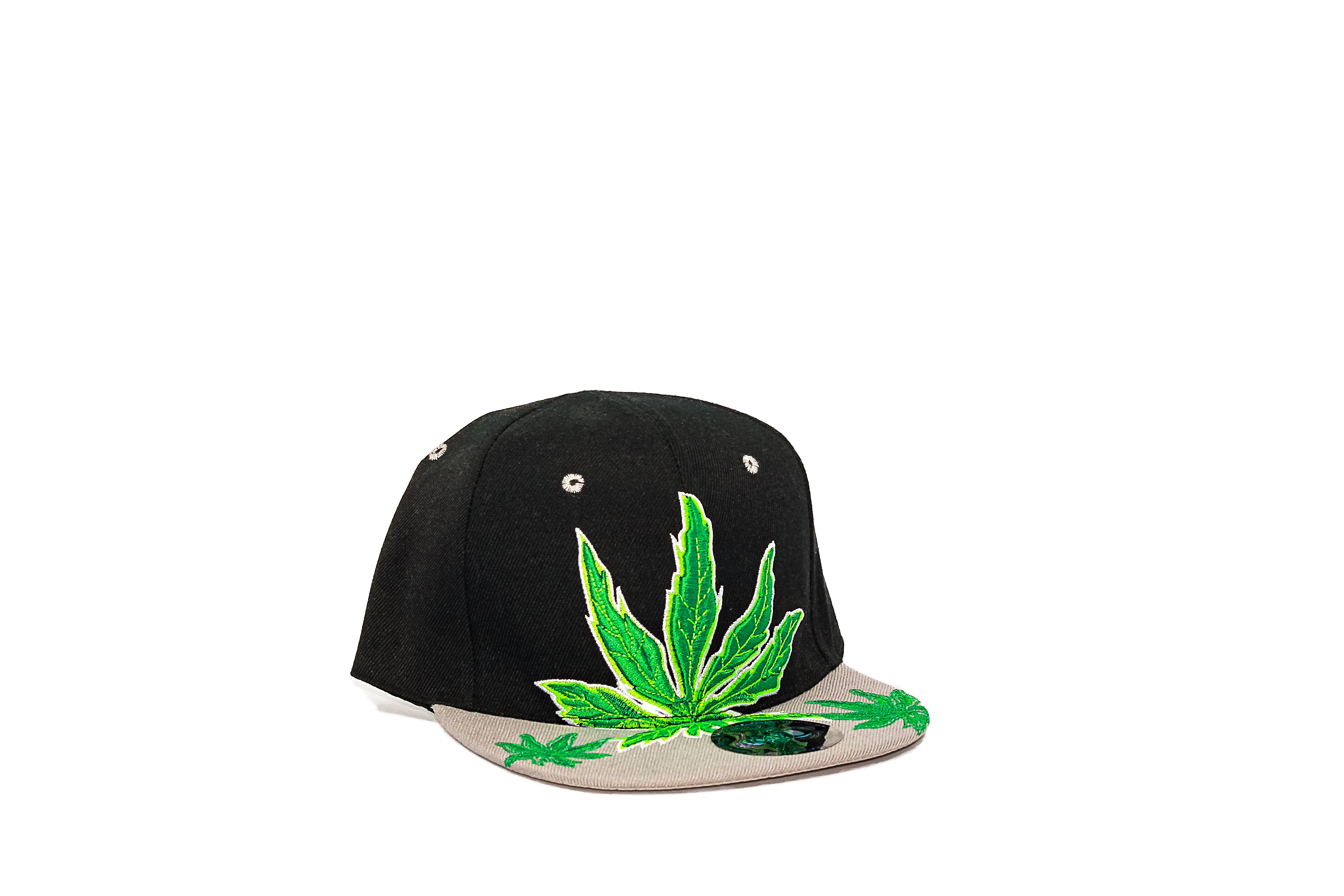 Leaf Snapback hat