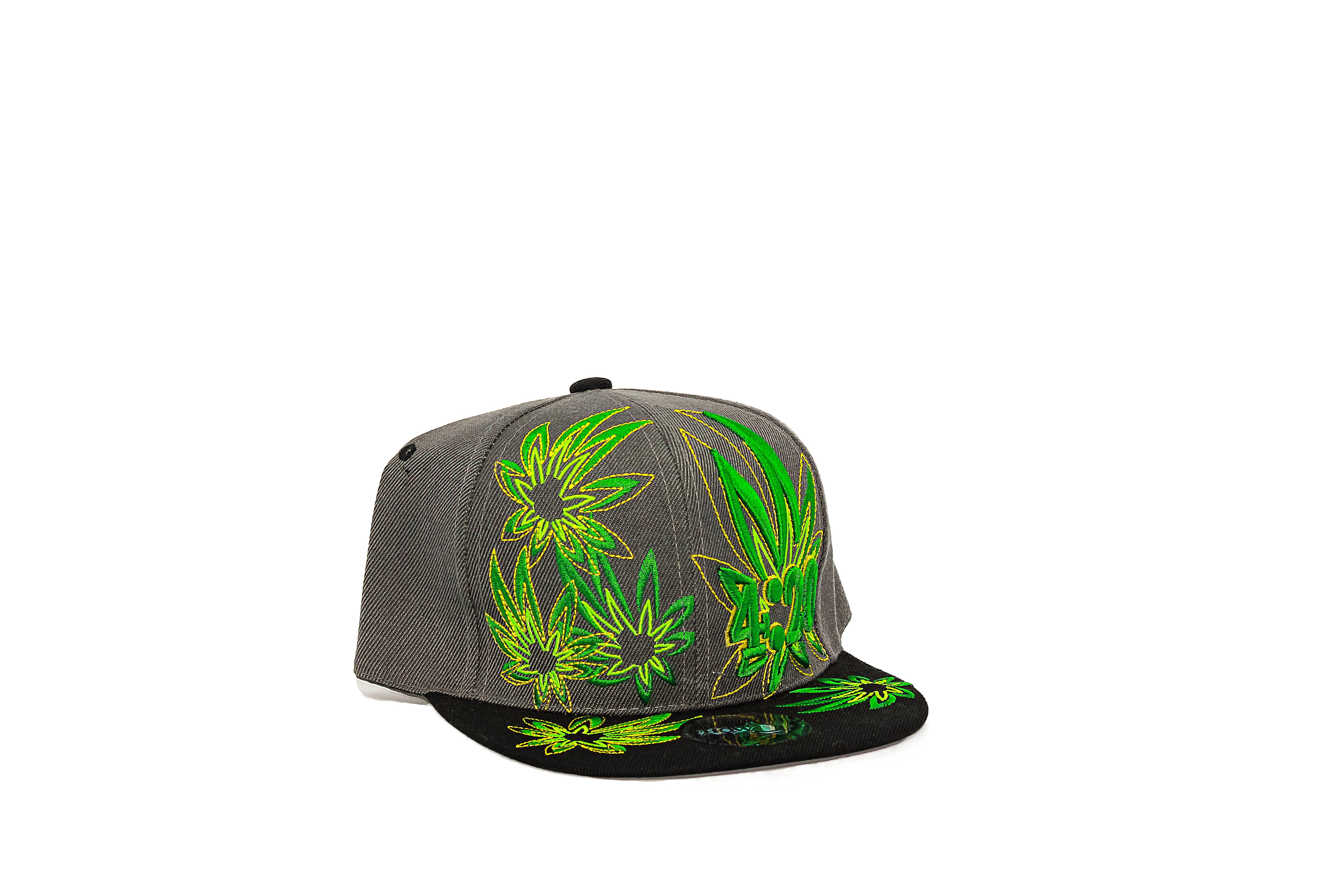 Leaf Snapback hat