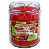 Smoke Odor Exterminator Candle 13oz Cinnamon Apple