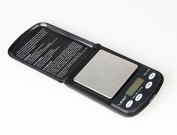 X2 100 Gram Scale