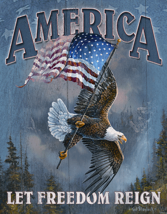 America - Let Freedom Reign