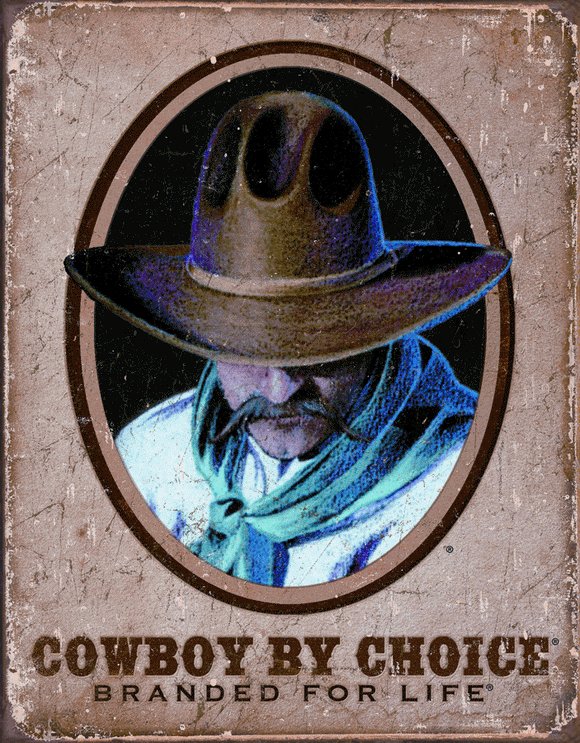 Cowboy By Choice