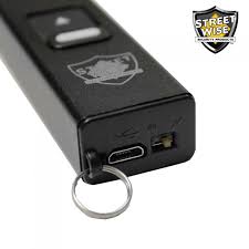 Mini Smack Stun Gun