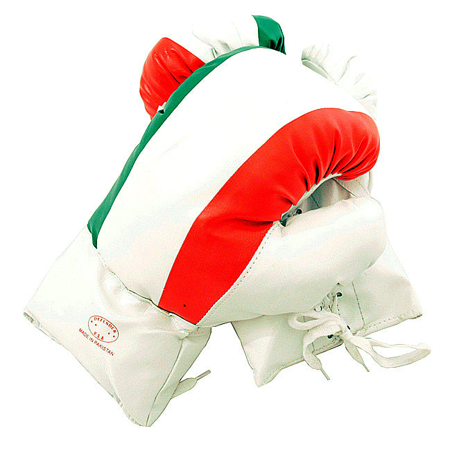 16oz Italian Flag Boxing Gloves